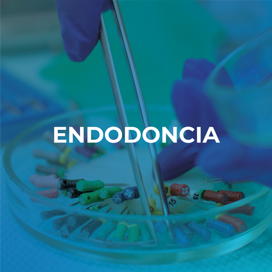 ENDODONCIA