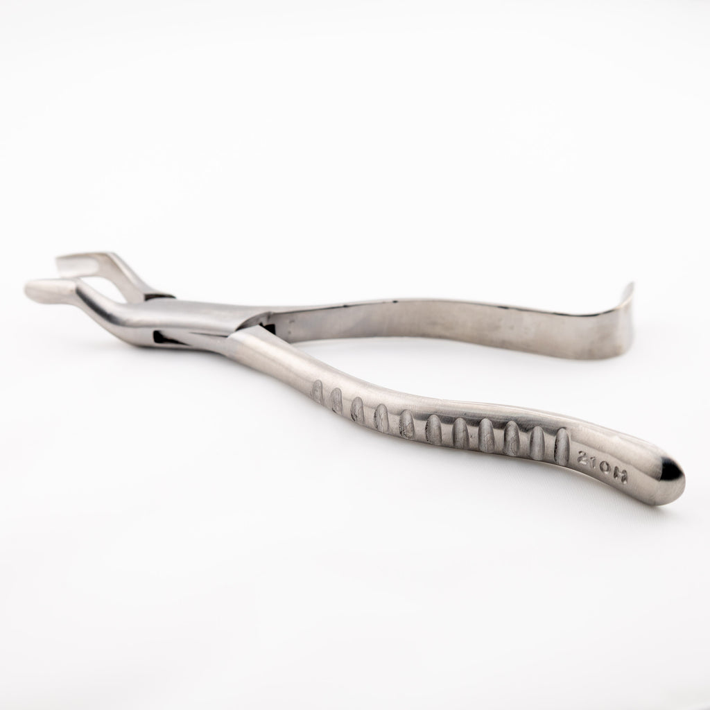 Forcep  6B