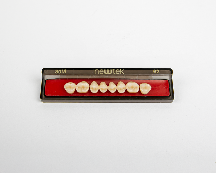 Diente Newtek Posterior PZ