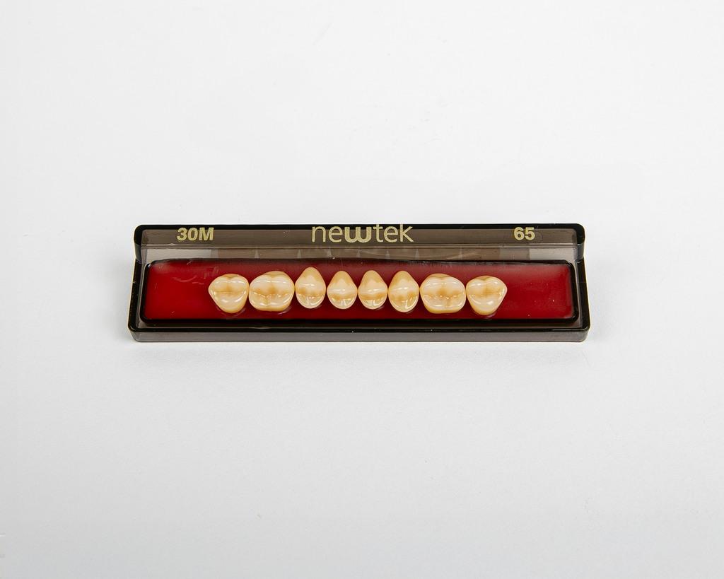 Diente Newtek Posterior PZ