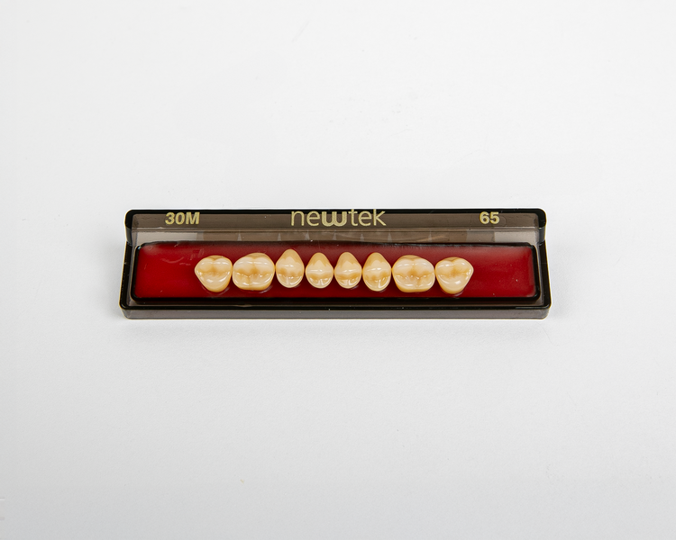 Diente Newtek Posterior PZ