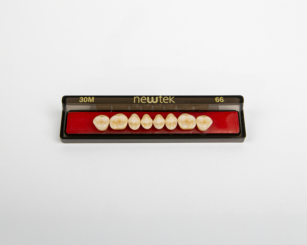 Diente Newtek Posterior PZ