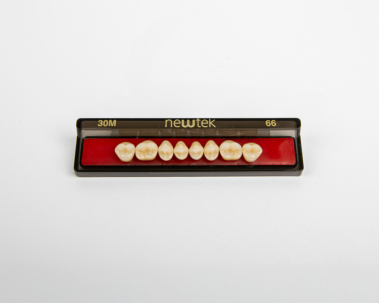 Diente Newtek Posterior PZ