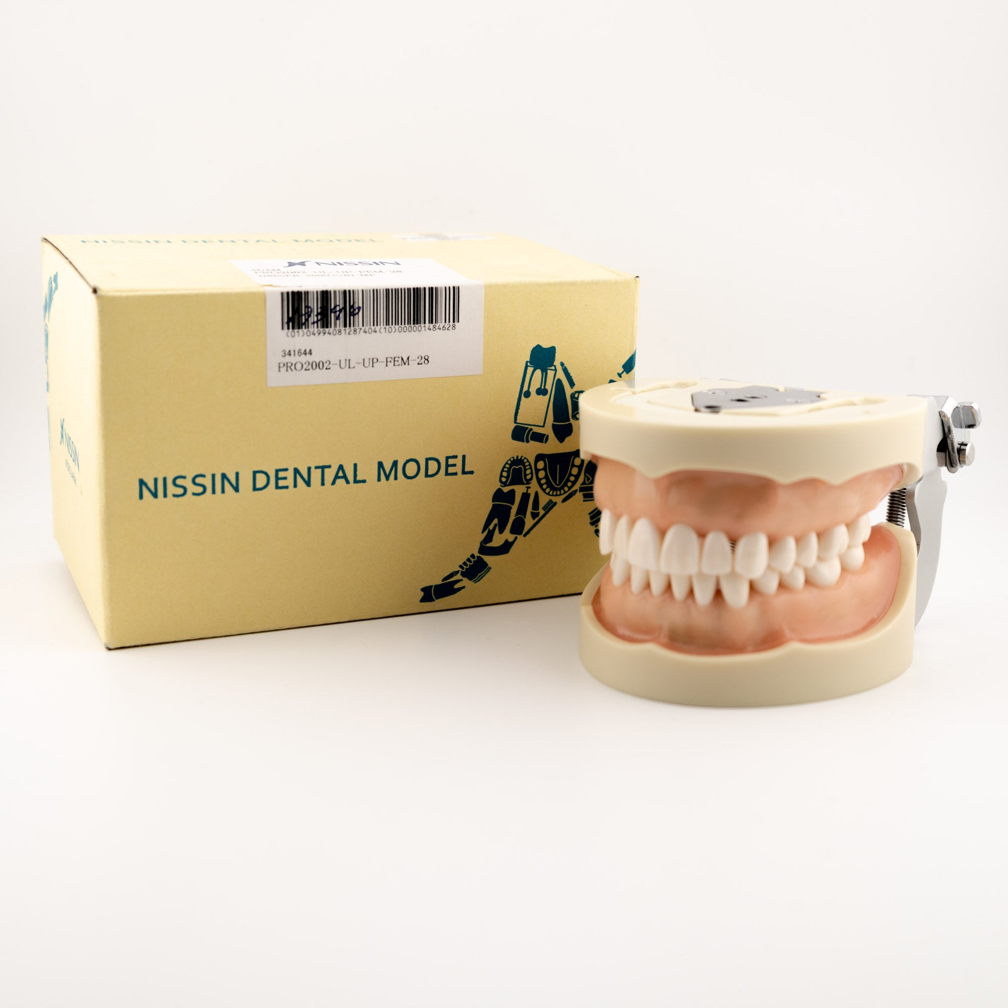 Tipodonto Nissin Adulto C/28 Dientes