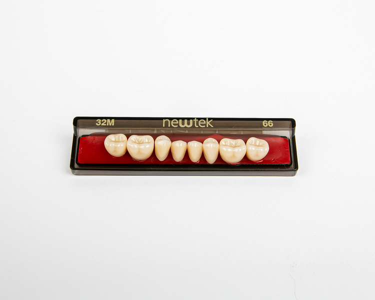 Diente Newtek Posterior PZ