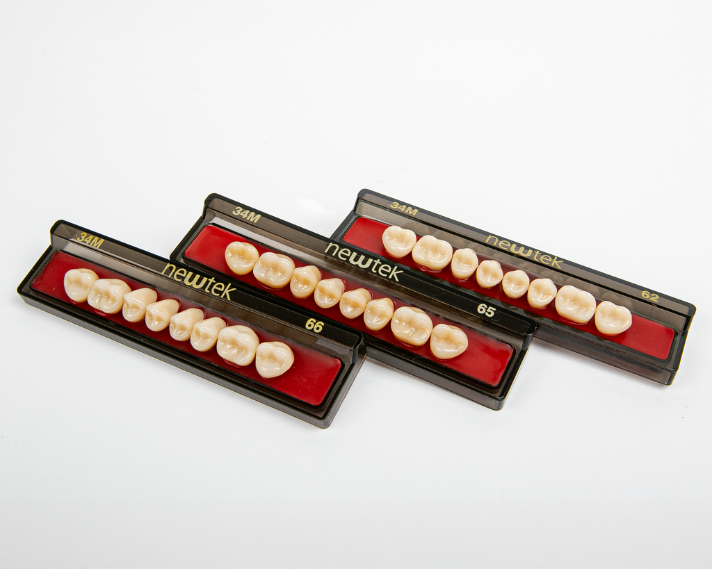 Diente Newtek Posterior PZ