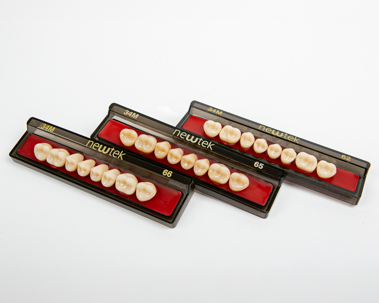 Diente Newtek Posterior PZ