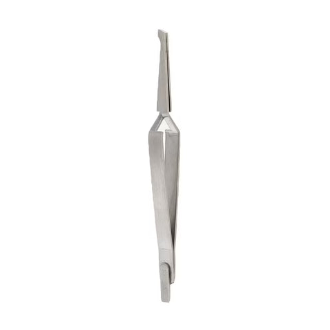 Pinzas De Soporte Dental