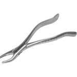 Forcep  6B