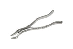Forcep  6B