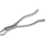 Forcep  6B