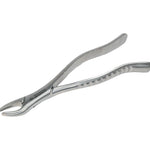 Forcep  6B