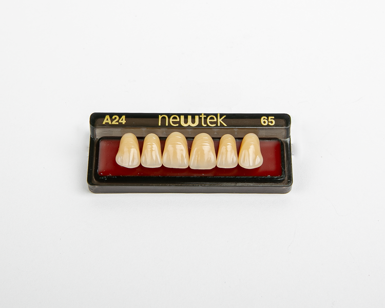 Diente Newtek Anterior PZ