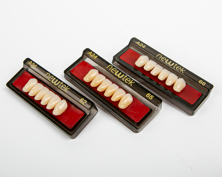 Diente Newtek Anterior PZ