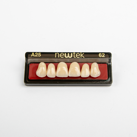 Diente Newtek Anterior PZ