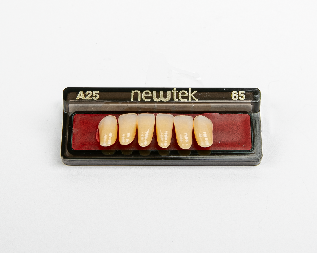 Diente Newtek Anterior PZ