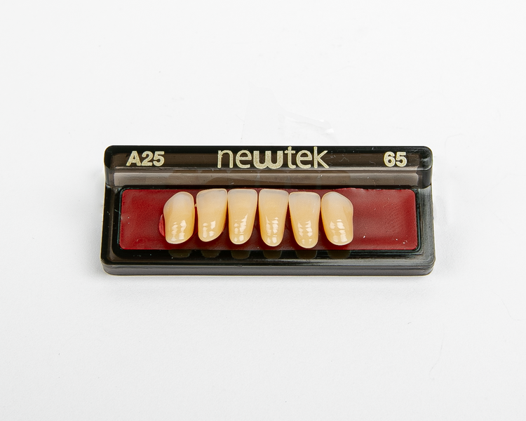 Diente Newtek Anterior PZ