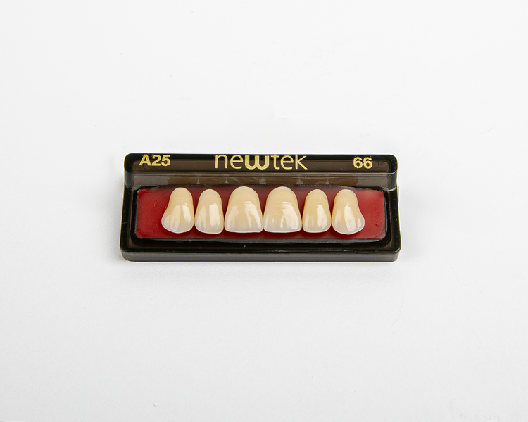 Diente Newtek Anterior PZ