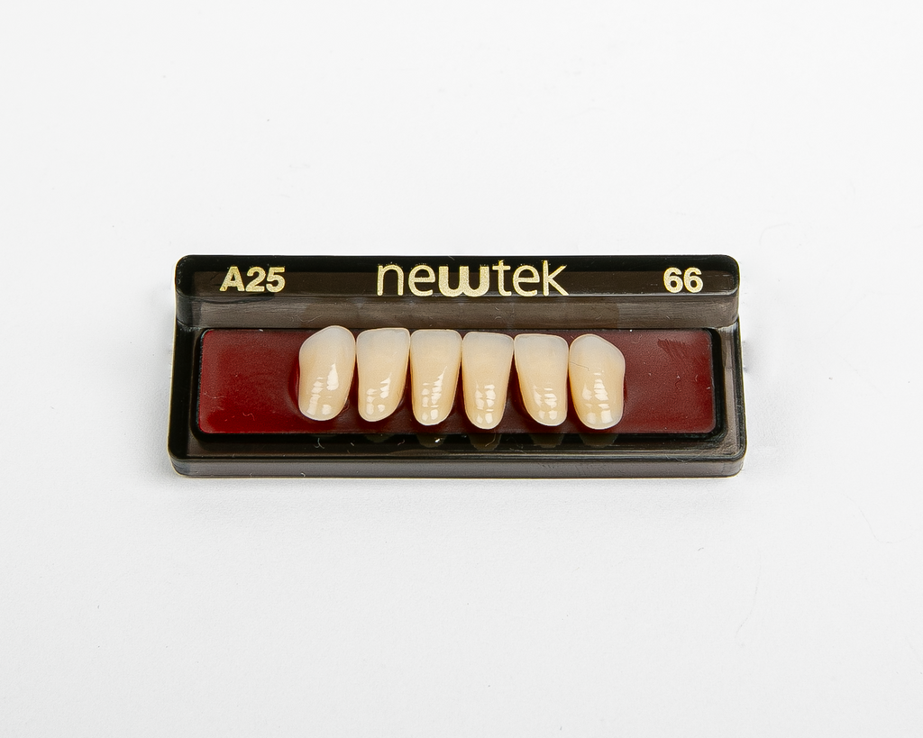 Diente Newtek Anterior PZ