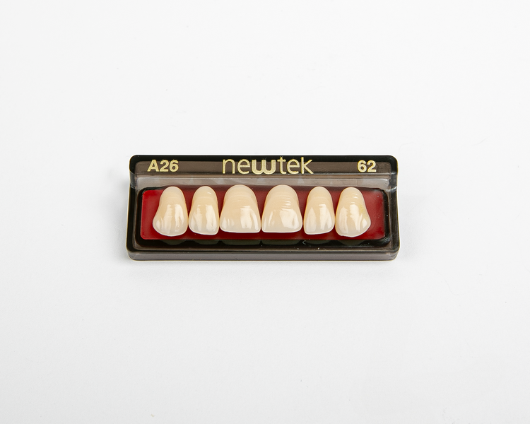 Diente Newtek Anterior PZ