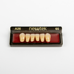 Diente Newtek Anterior Pz