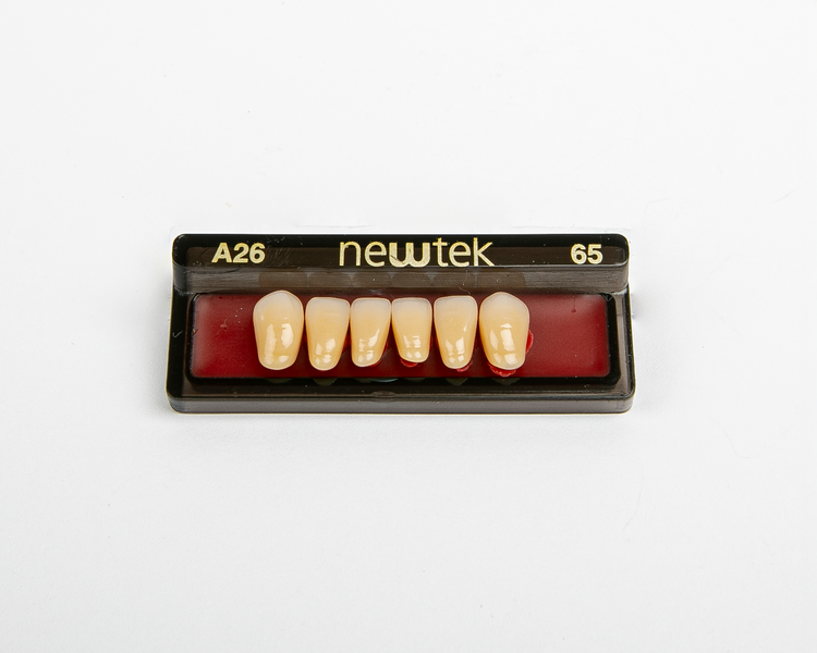 Diente Newtek Anterior PZ