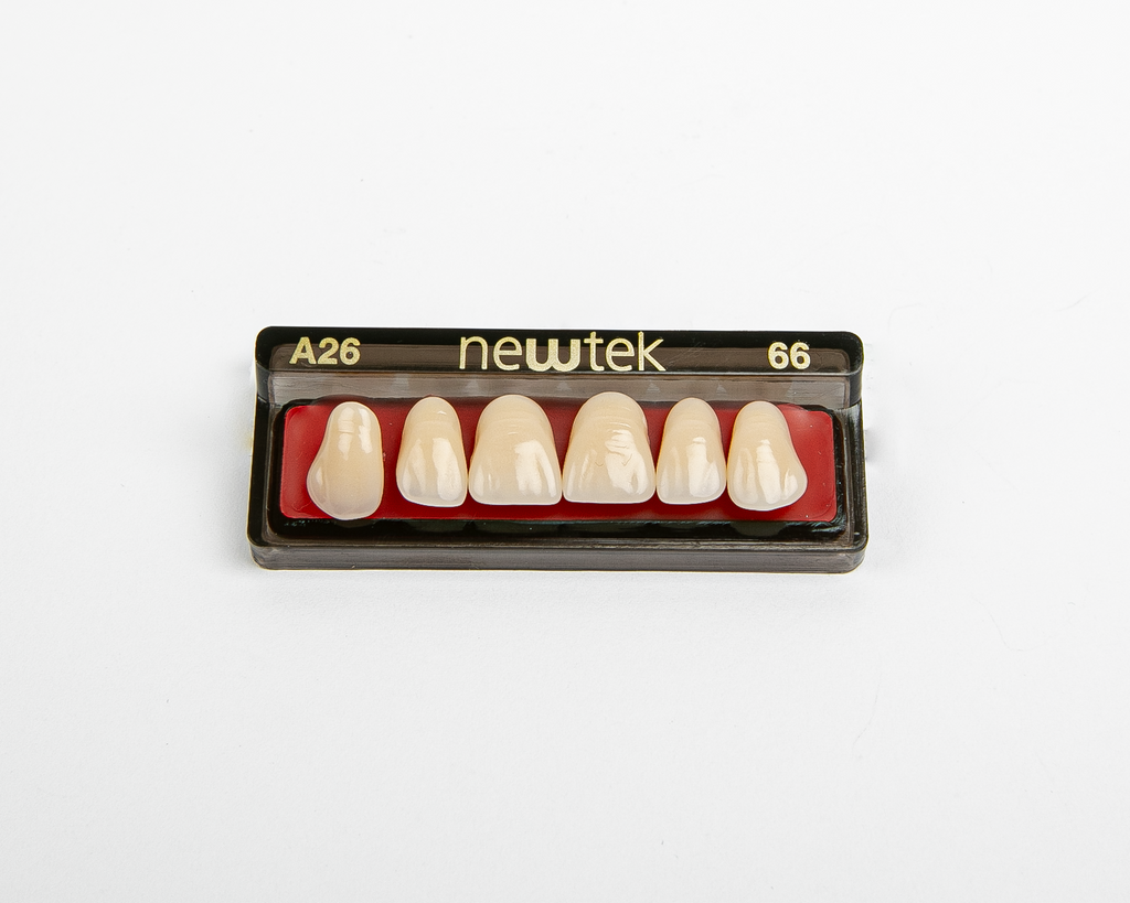 Diente Newtek Anterior PZ