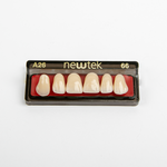 Diente Newtek Anterior Pz