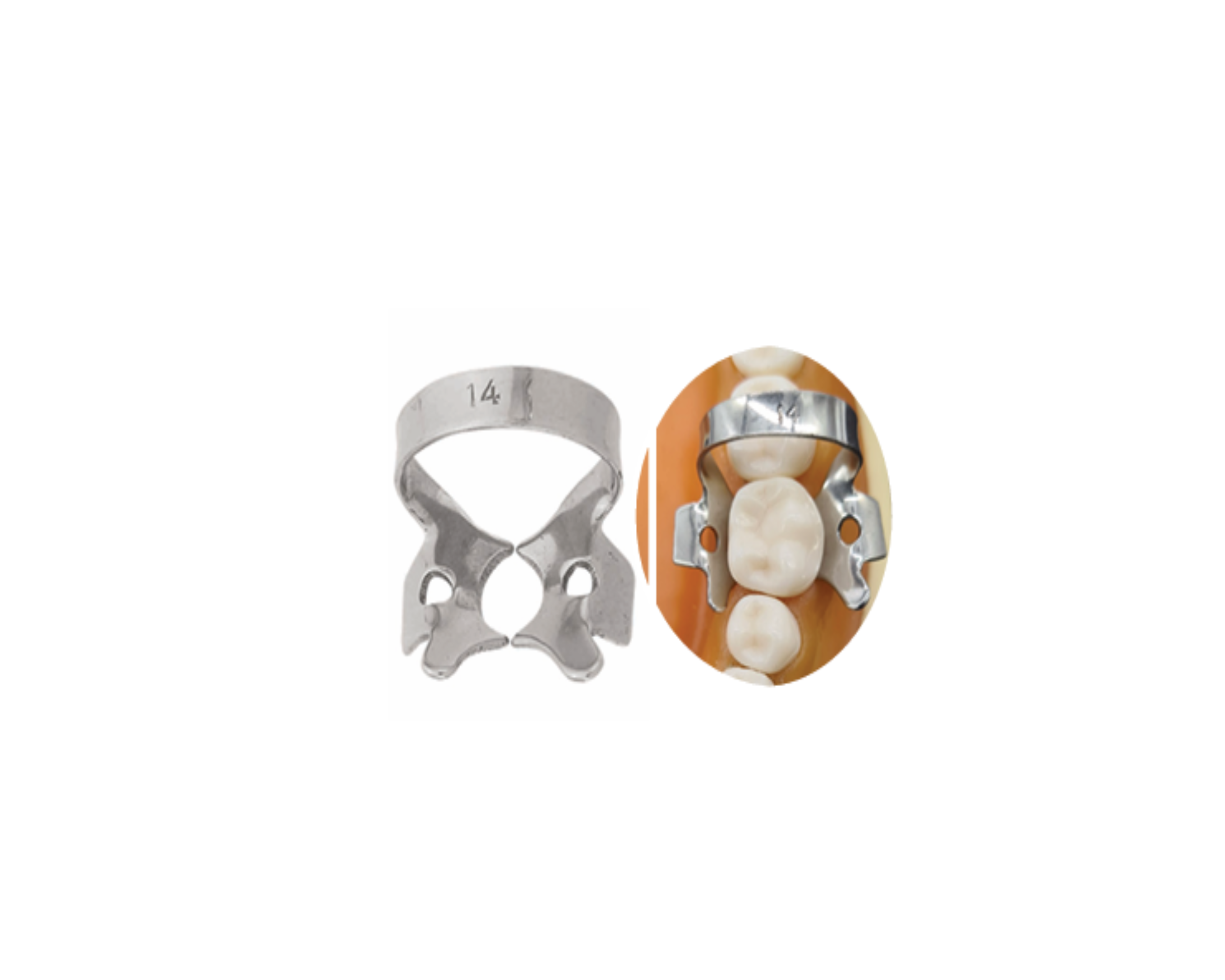 Grapa P/Dique Hule 14 6B-056