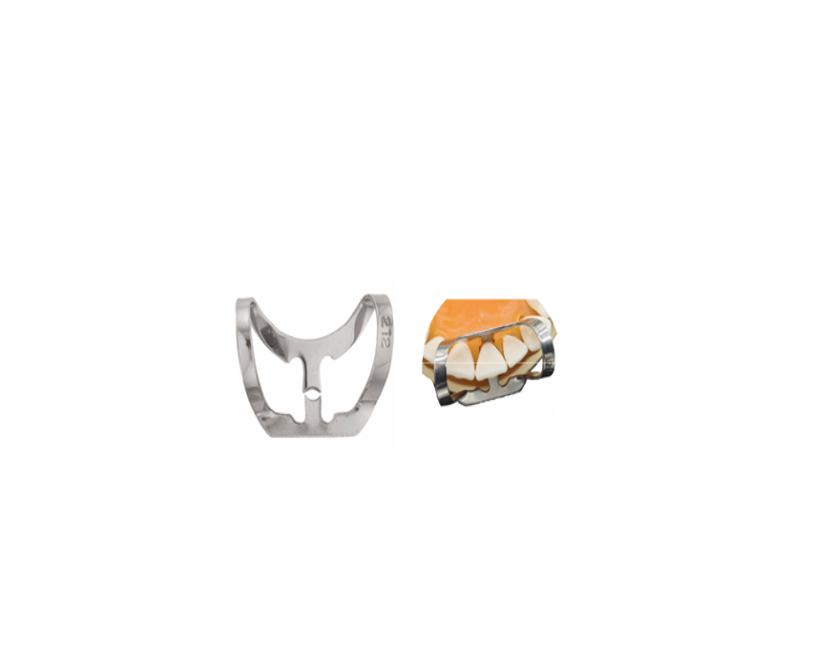 Grapa P/Dique Hule 212 6B-058
