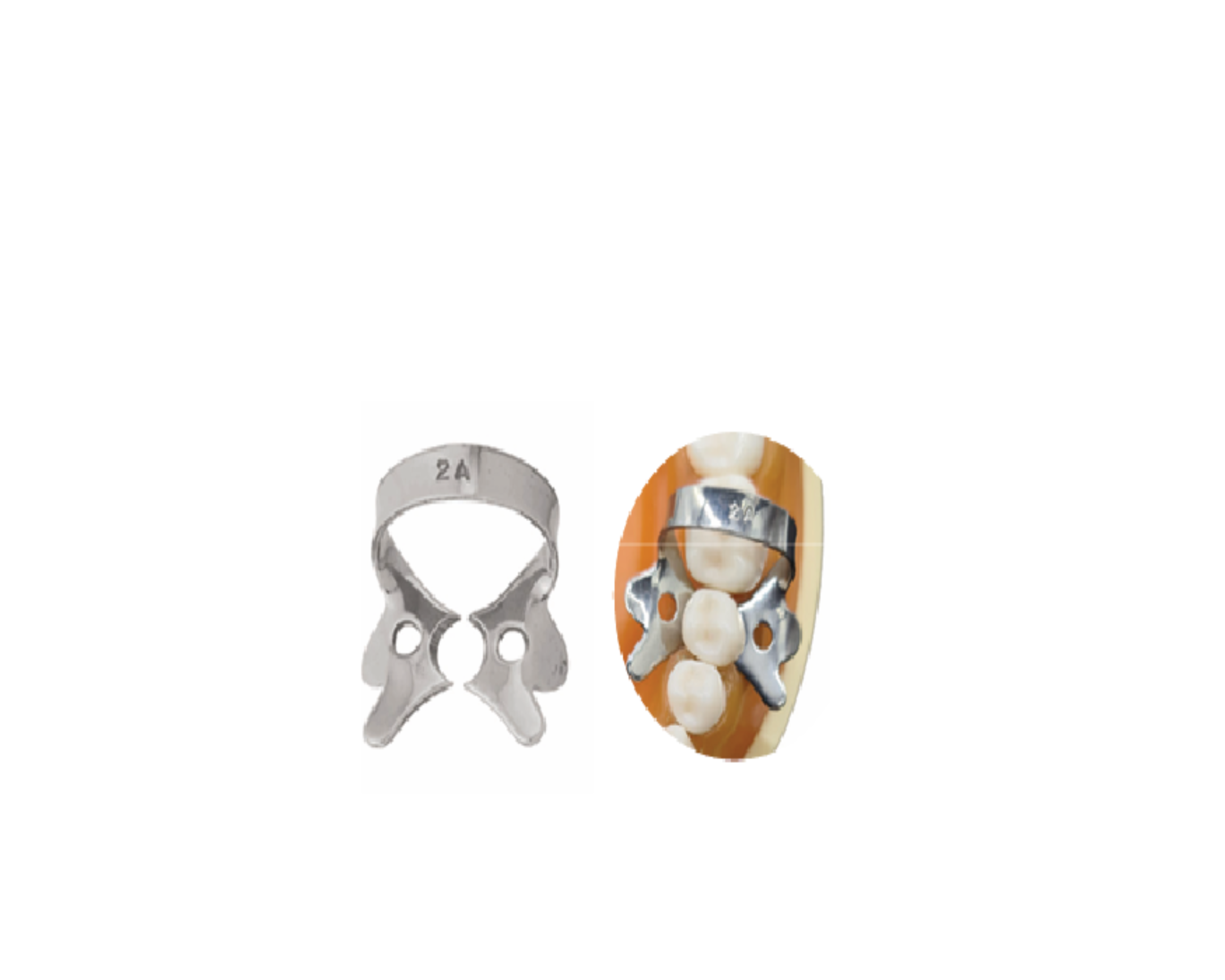 Grapa P/Dique Hule 2A 6B-060
