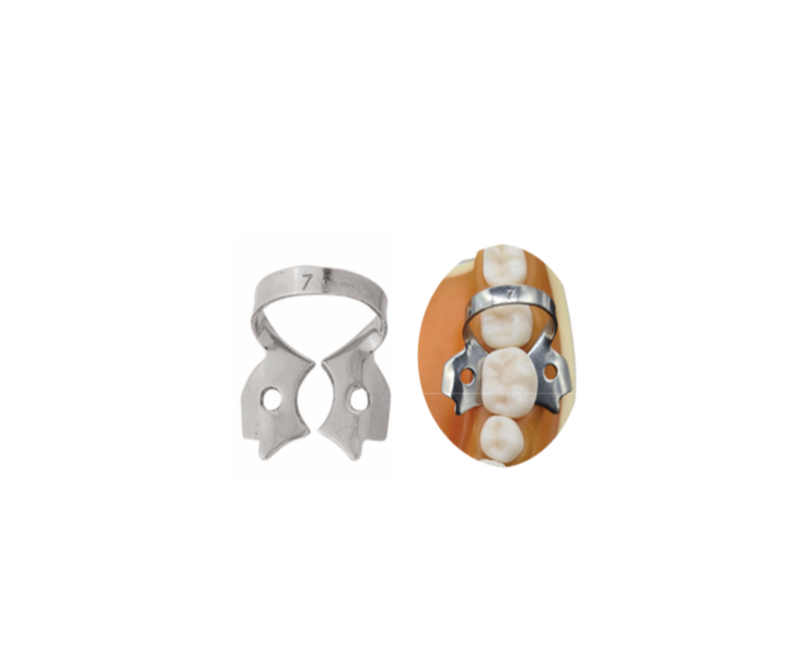 Grapa P/Dique Hule 7 6B-051