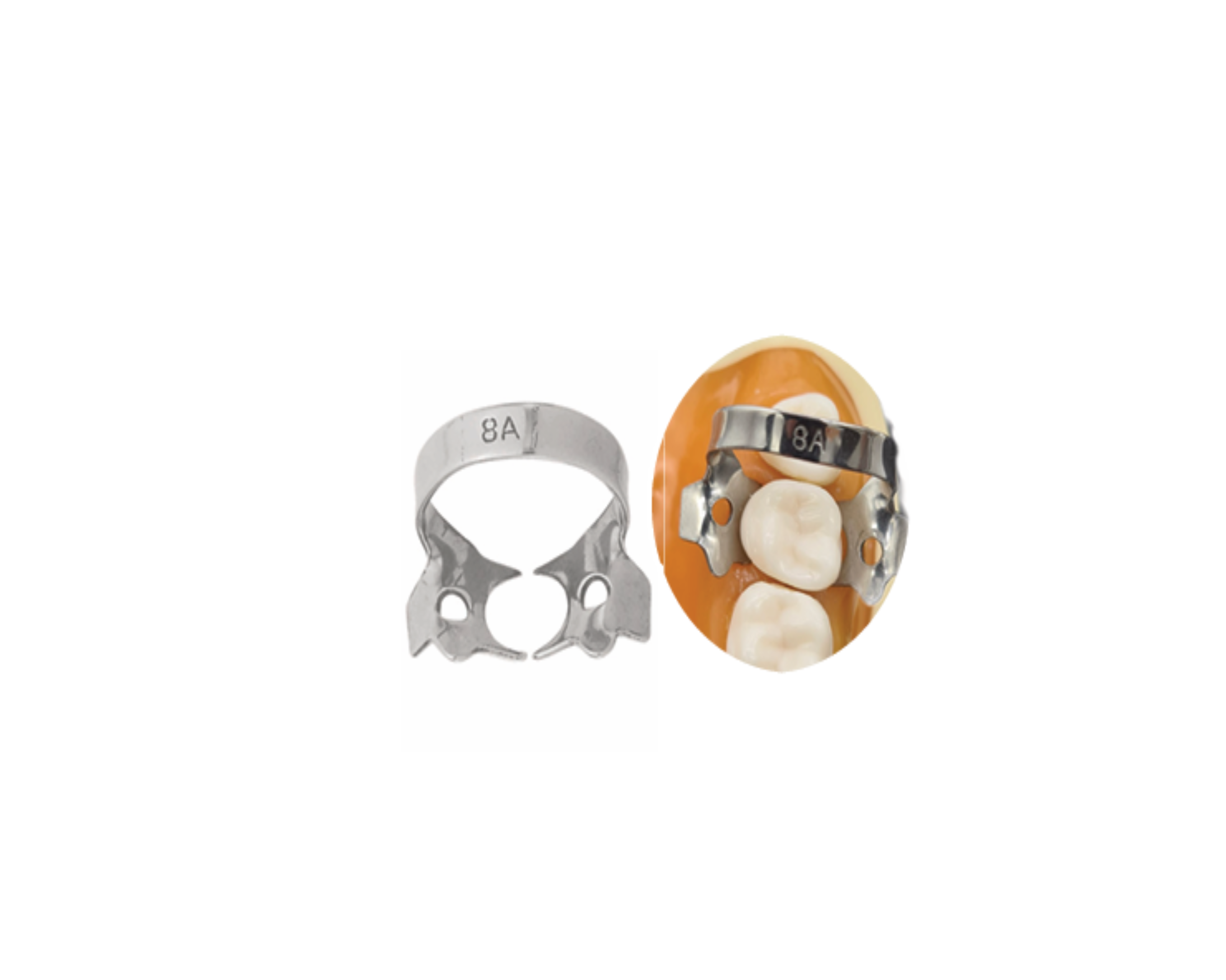 Grapa P/Dique Hule 8A 6B-054