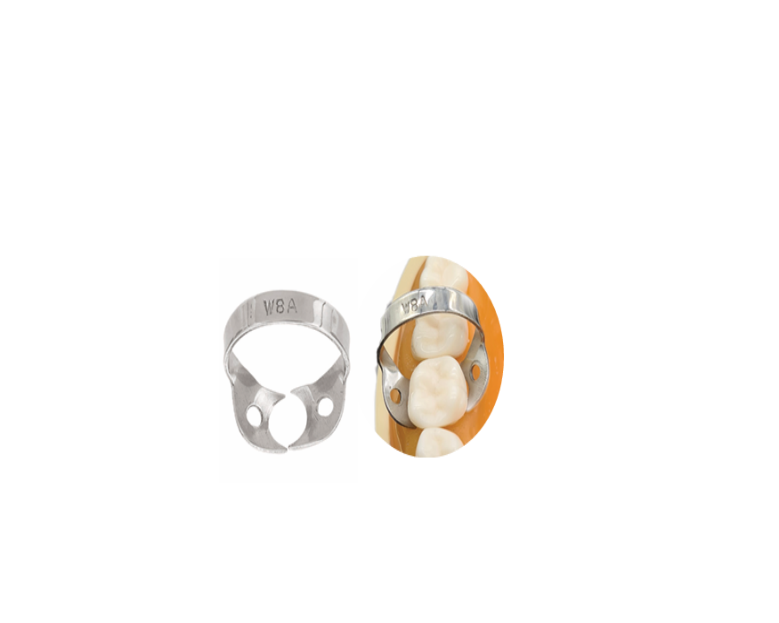 Grapa P/Dique Hule W8A 6B-059