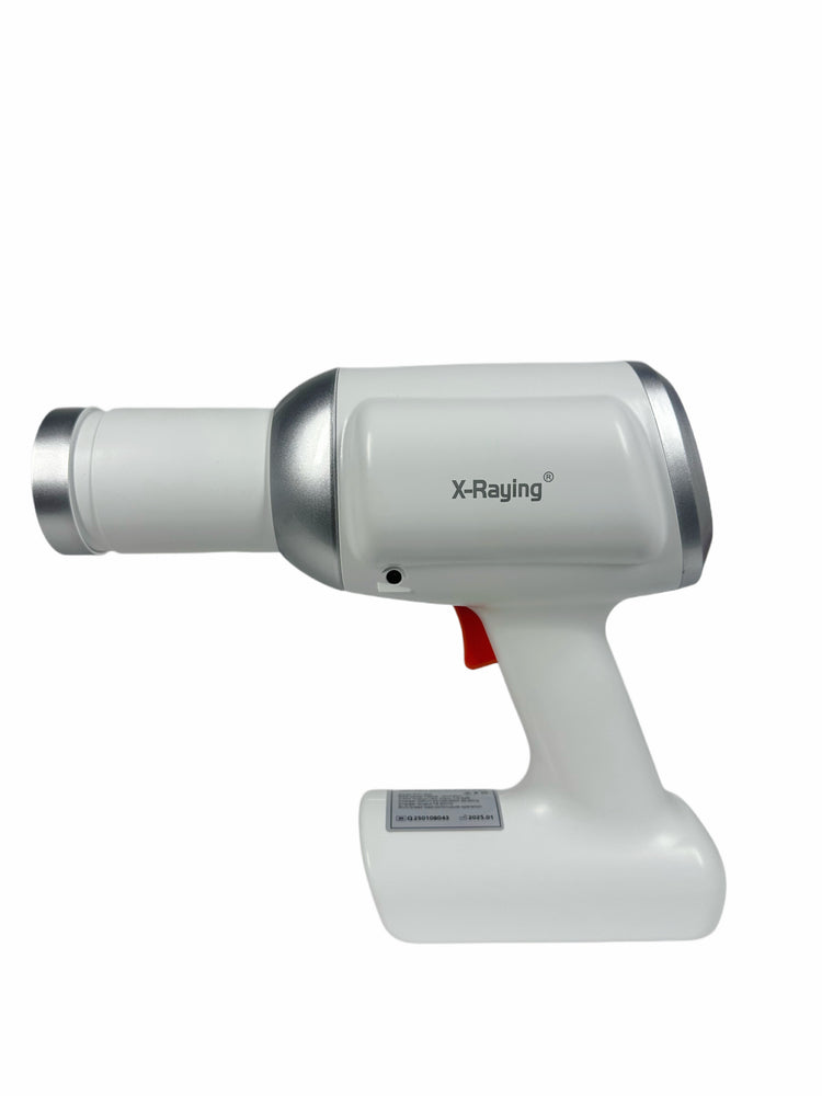 X - Raying Rx-500 pistola