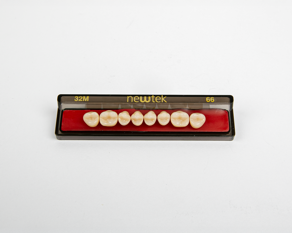 Diente Newtek Posterior PZ