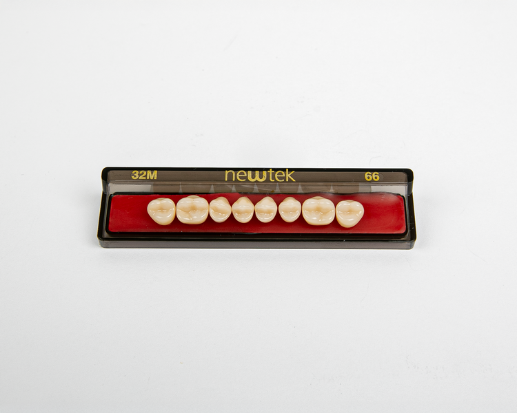 Diente Newtek Posterior PZ