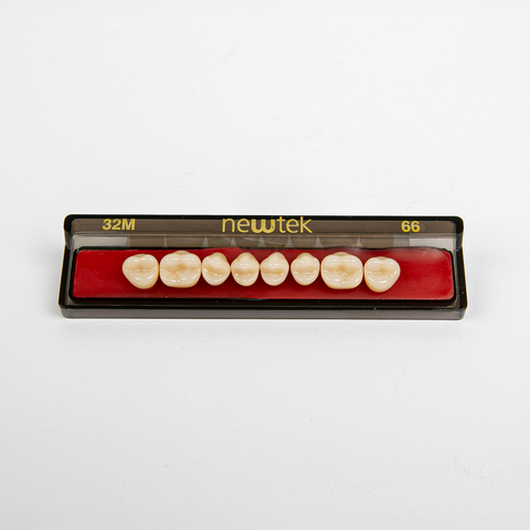 Diente Newtek Posterior PZ