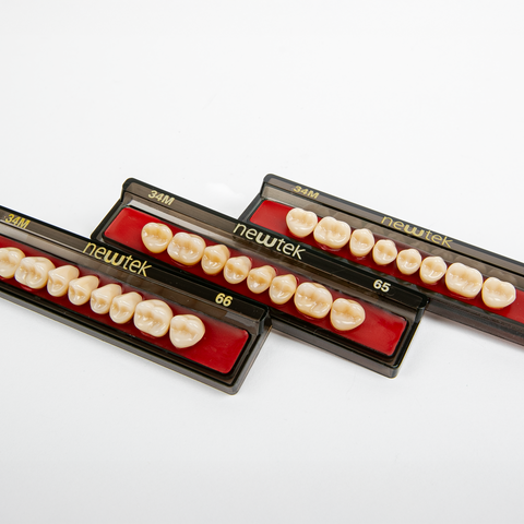 Diente Newtek Posterior PZ