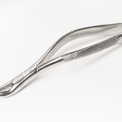 Forcep 62 Anterior Canino Arain