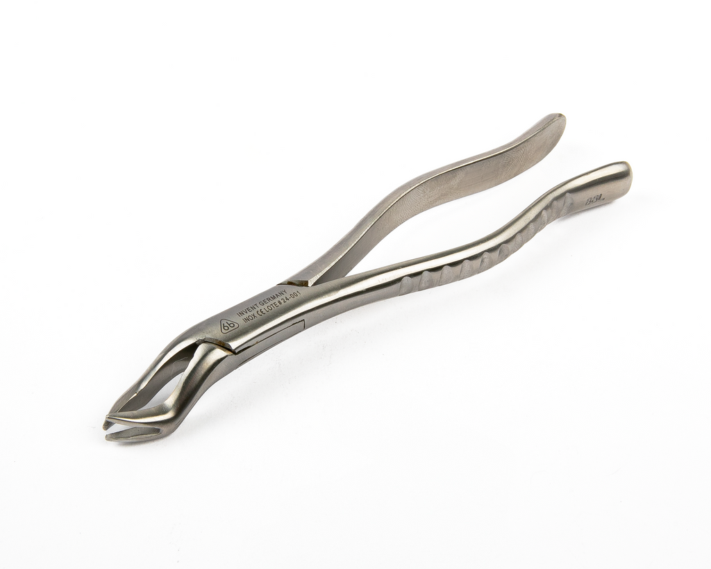 Forcep  6B