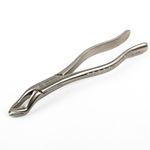 Forcep  6B