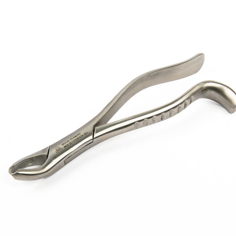 Forcep  6B