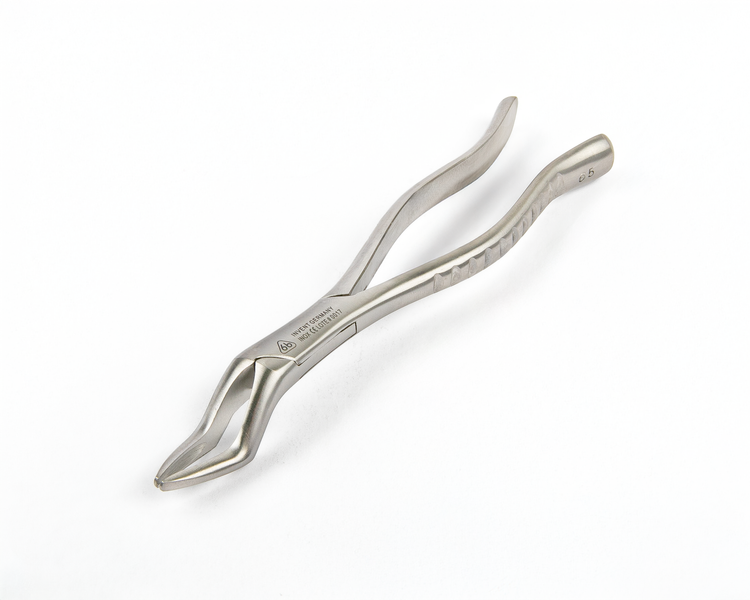 Forcep  6B