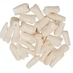 Dientes Para Tipodonto - 32 Piezas - Adysa