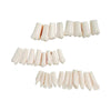 Juego De Dientes Nissin 28 Piezas