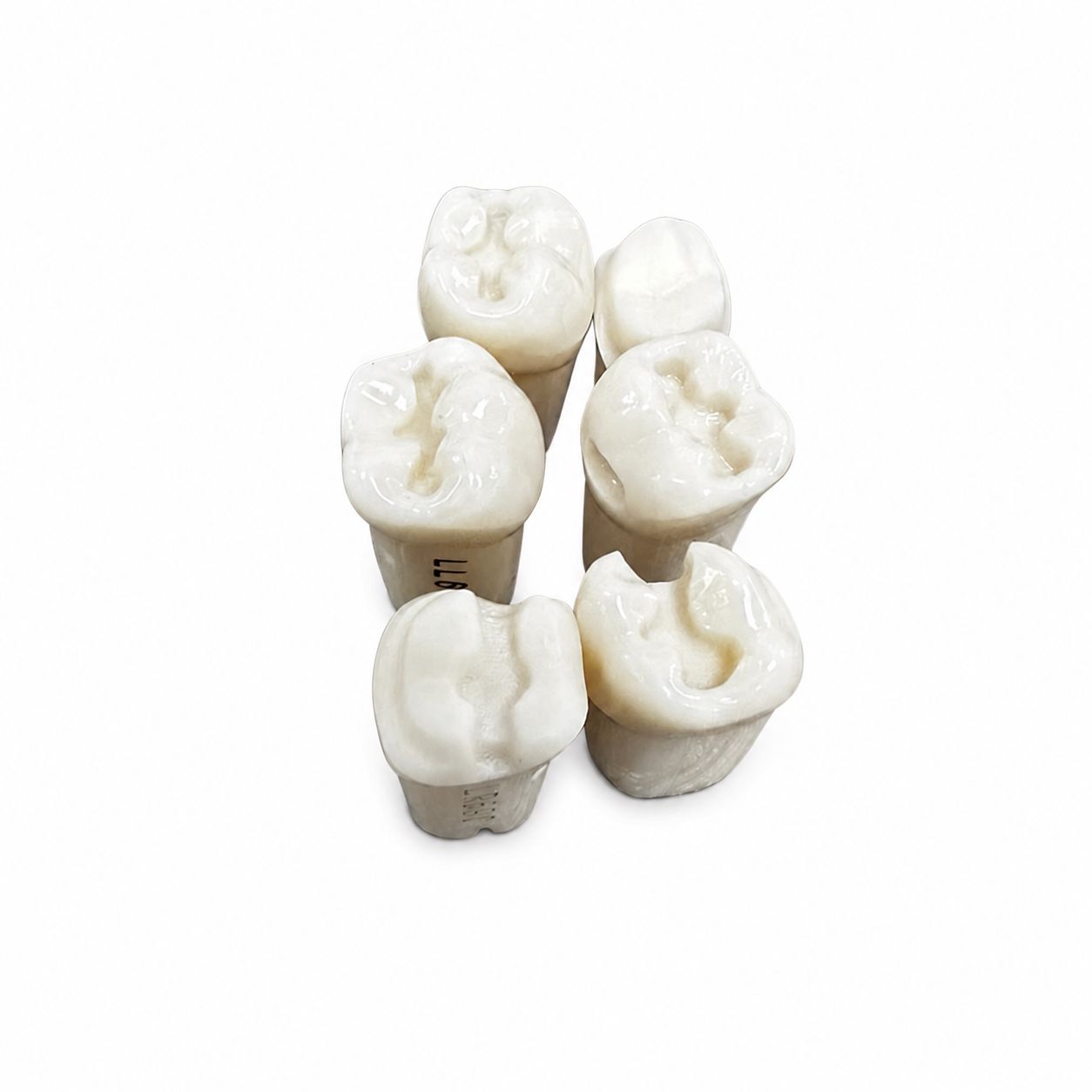 Juego De Dientes Para Cavidades