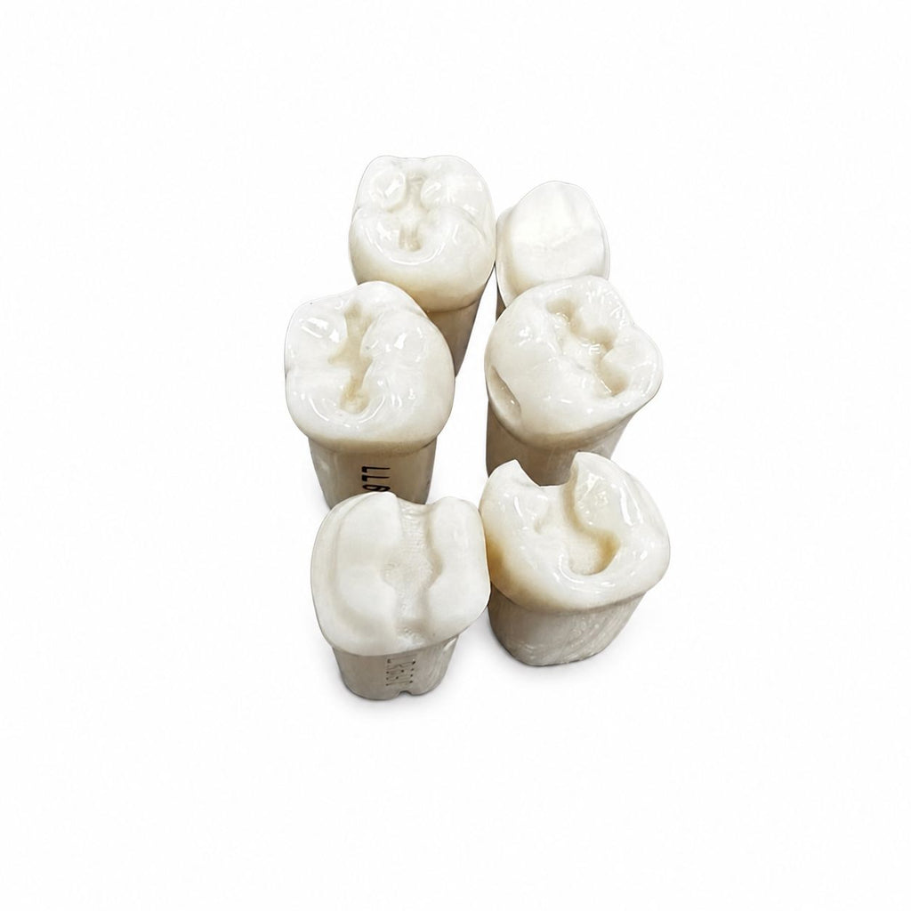 Juego De Dientes Para Cavidades
