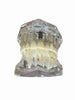 MODELO DENTAL TRANSPARENTE